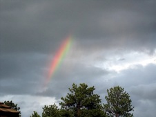 Enlarge photo 21