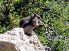 Enlarge photo 31