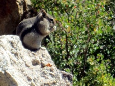 Enlarge photo 33