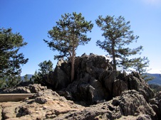 Enlarge photo 35