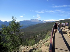 Enlarge photo 42