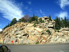 Enlarge photo 45