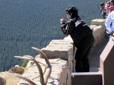 Enlarge photo 46