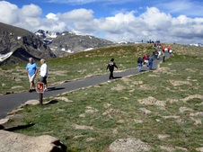 Enlarge photo 49