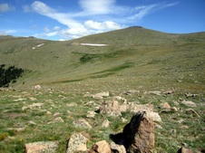 Enlarge photo 54