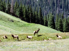 Enlarge photo 62