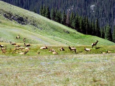Enlarge photo 64