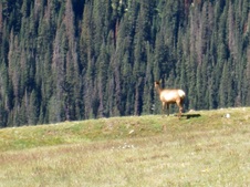 Enlarge photo 63