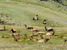 Enlarge photo 65