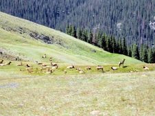 Enlarge photo 67