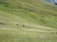 Enlarge photo 68