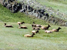 Enlarge photo 69