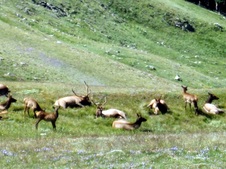 Enlarge photo 70