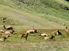 Enlarge photo 71