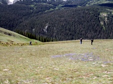 Enlarge photo 74