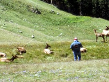Enlarge photo 73