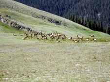 Enlarge photo 75
