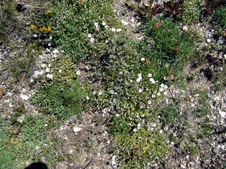 Enlarge photo 76