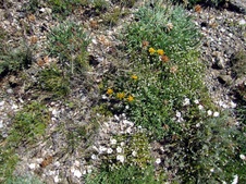 Enlarge photo 77