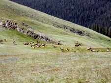 Enlarge photo 79
