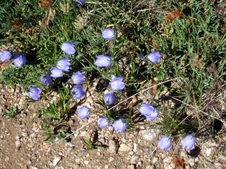 Enlarge photo 82