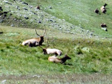 Enlarge photo 81