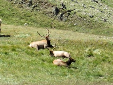 Enlarge photo 83
