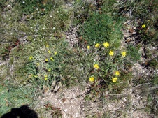 Enlarge photo 88