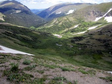 Enlarge photo 90