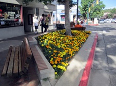Enlarge photo 94