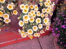 Enlarge photo 10