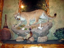 Enlarge photo 25