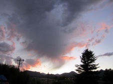Enlarge photo 35
