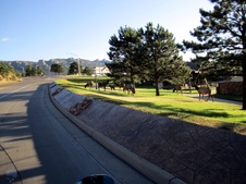Enlarge photo 43