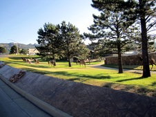 Enlarge photo 44