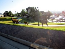 Enlarge photo 46