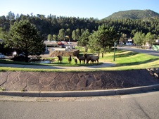 Enlarge photo 47