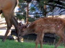 Enlarge photo 55
