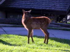 Enlarge photo 65