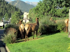 Enlarge photo 77