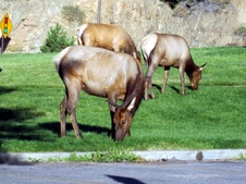 Enlarge photo 80