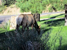 Enlarge photo 82