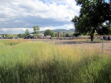 Enlarge photo 47