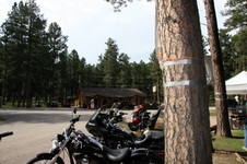 Enlarge photo 28