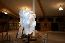 Enlarge photo 53