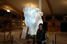 Enlarge photo 54