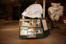 Enlarge photo 56