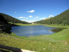 Enlarge photo 80