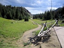Enlarge photo 84