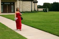 Enlarge photo 83